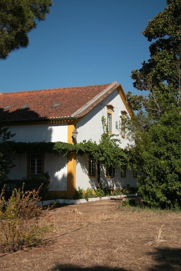 Quinta De Santana Da Varzea 阿布兰特什 外观 照片
