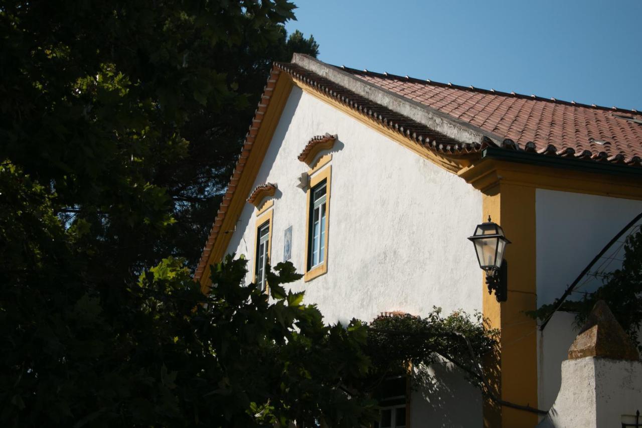 Quinta De Santana Da Varzea 阿布兰特什 外观 照片