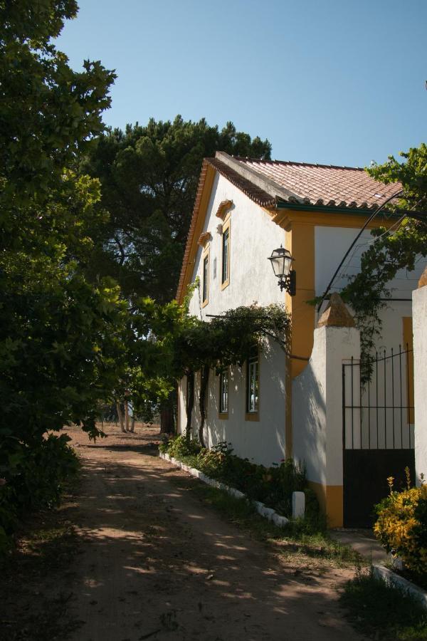 Quinta De Santana Da Varzea 阿布兰特什 外观 照片