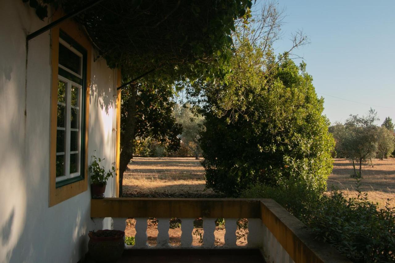 Quinta De Santana Da Varzea 阿布兰特什 外观 照片