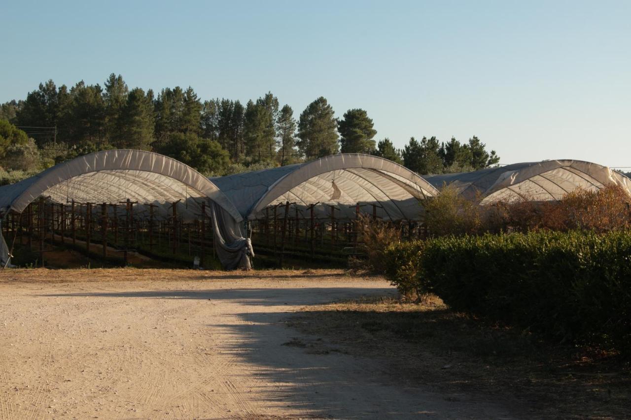 Quinta De Santana Da Varzea 阿布兰特什 外观 照片