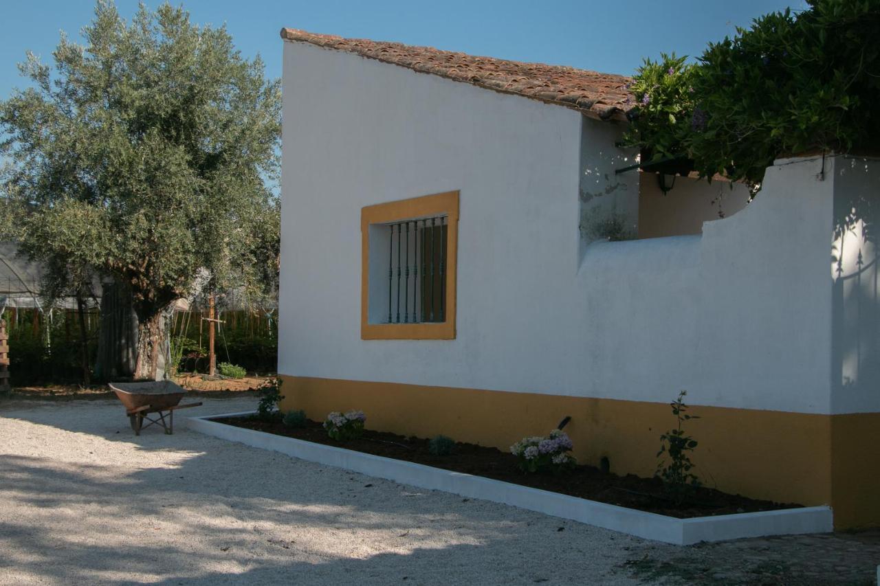 Quinta De Santana Da Varzea 阿布兰特什 外观 照片