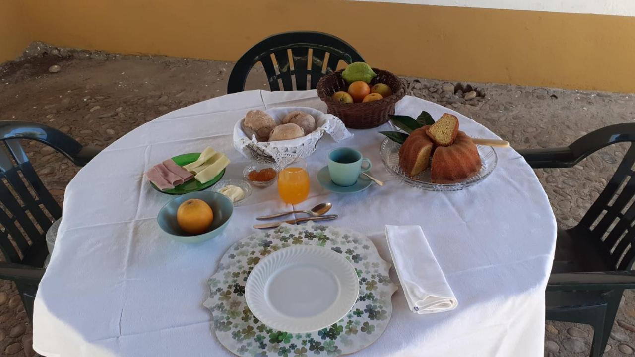 Quinta De Santana Da Varzea 阿布兰特什 外观 照片
