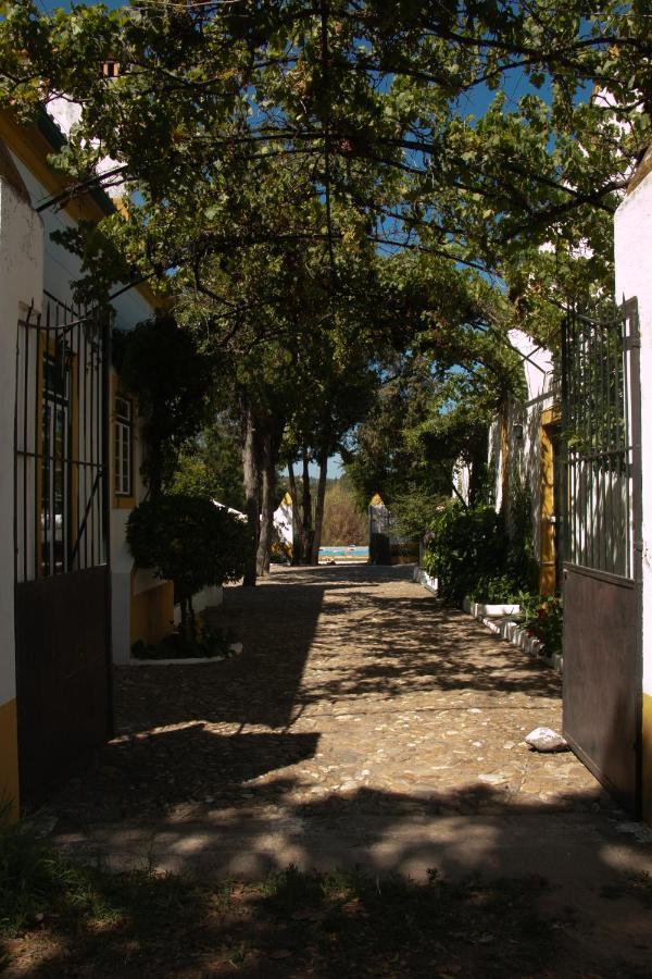 Quinta De Santana Da Varzea 阿布兰特什 外观 照片