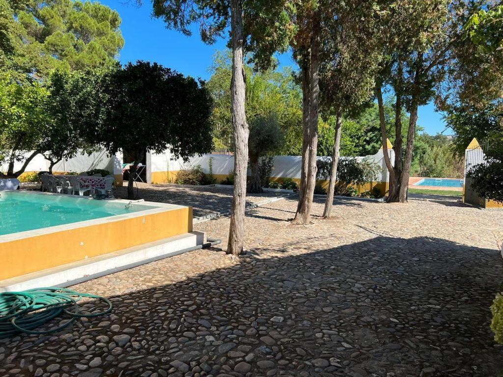 Quinta De Santana Da Varzea 阿布兰特什 外观 照片