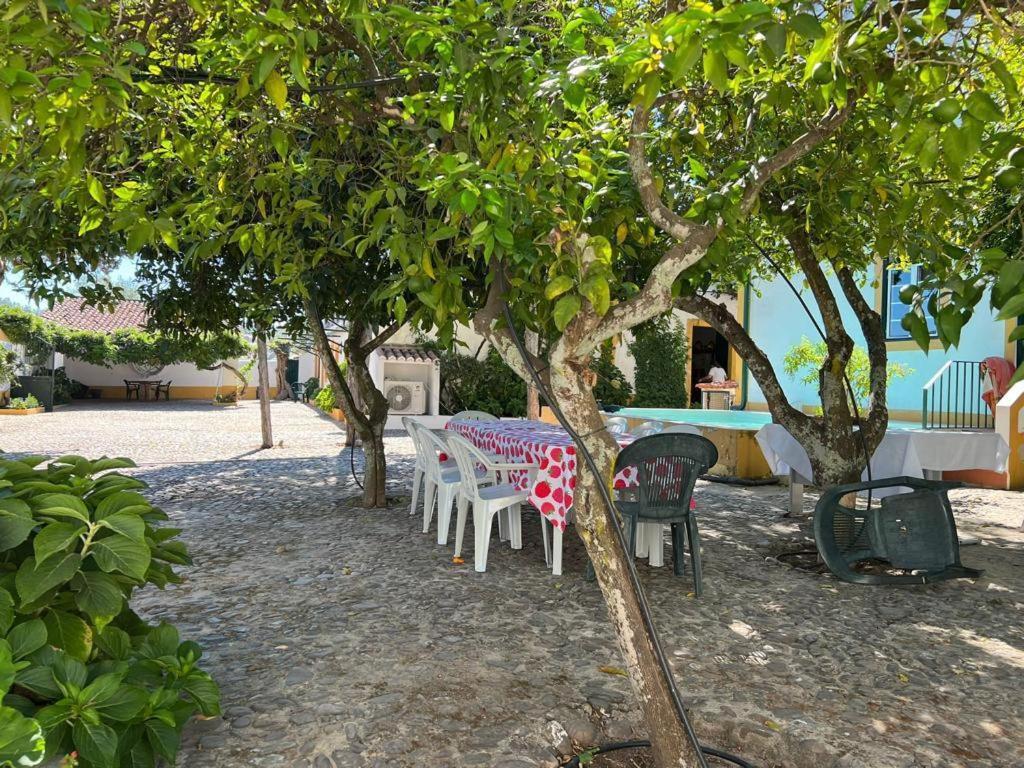 Quinta De Santana Da Varzea 阿布兰特什 外观 照片