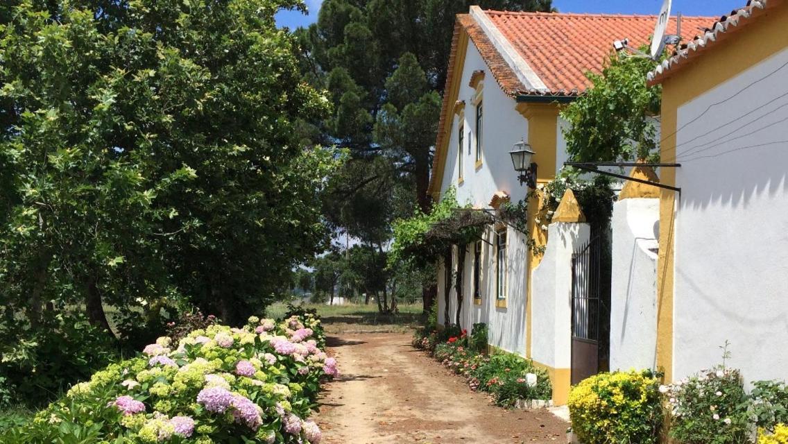 Quinta De Santana Da Varzea 阿布兰特什 外观 照片